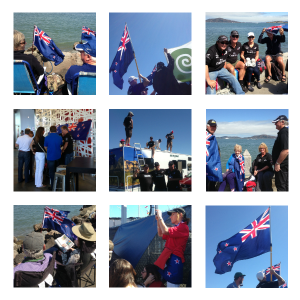 kiwi fans at the america's cup