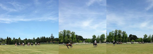run-for-roses-polo-collage