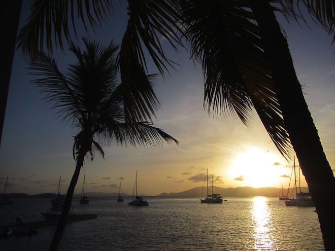 sailing sunset framed by palm trees in the british virgin islands
