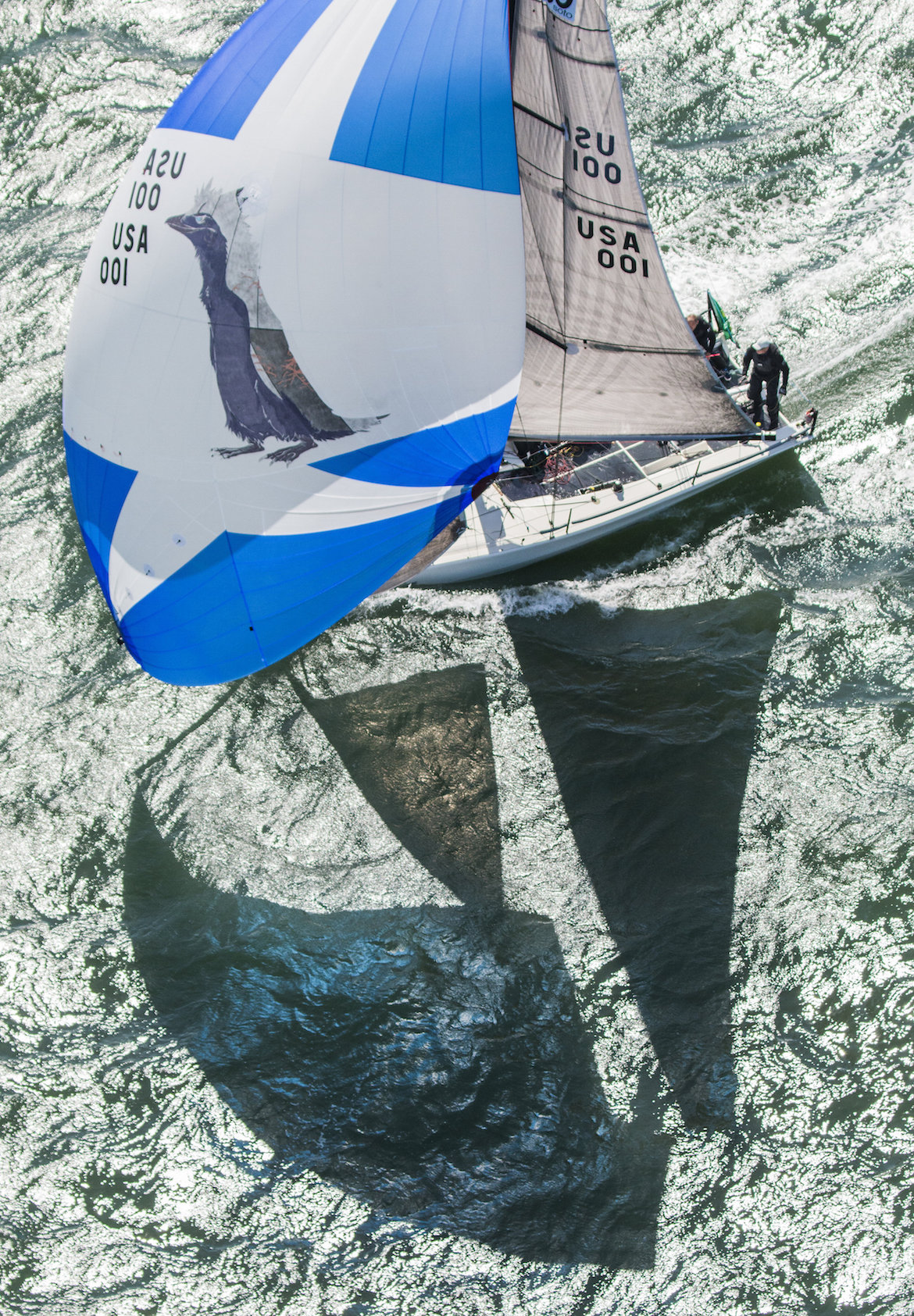 soto 30 gentoo, winner of the sportboat class, rolex big boat series 2016. sailcouture.com